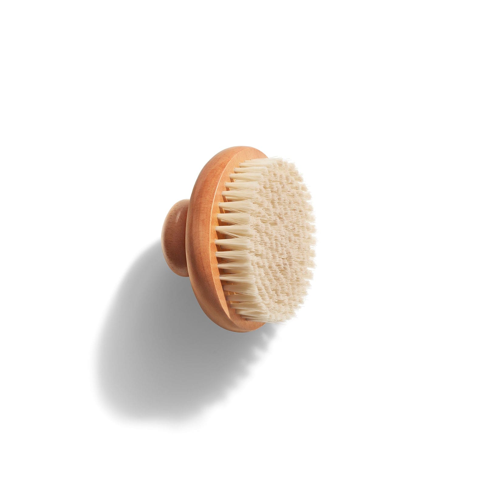 DRY BODY BRUSH